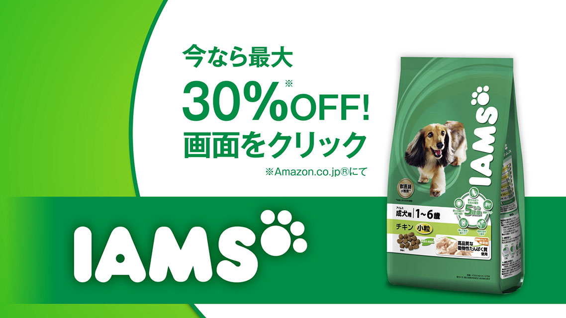 実績の写真
